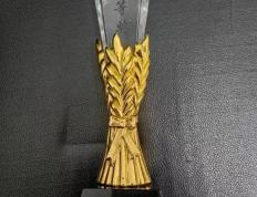 IM体育官方平台-代表国家争光，斩获多重奖牌