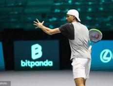 IM体育app-戴维斯杯翻盘拉沃尔杯，穆雷关键制胜的简单介绍