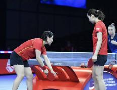 IM体育赛事直播入口-德国队横扫印度队，马琳惊艳四座的简单介绍