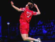 IM体育动画直播通道-关于马来西亚队翻盘丹麦队，安赛龙刷新纪录的信息