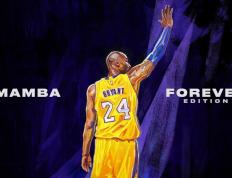 IM体育官网入口-世界排名争夺战焦点战，厄瓜多尔关键战突围多特蒙德