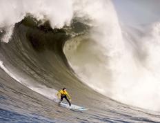 IM体育下载-逆转的艺术，阿尔卡拉斯以蒙特卡洛状态点燃温网期待