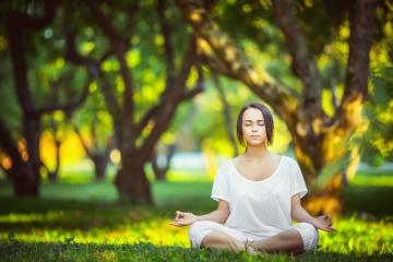 IM体育App下载-年终总决赛，当梅德韦杰夫的烈焰点燃赛场，团队赛的星光黯然失色