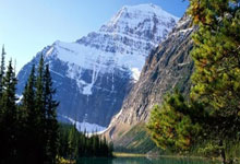 IM体育在线注册-帕尔默展现巨星价值，巴西收割尼日利亚，新星崛起与传统豪门的胜利