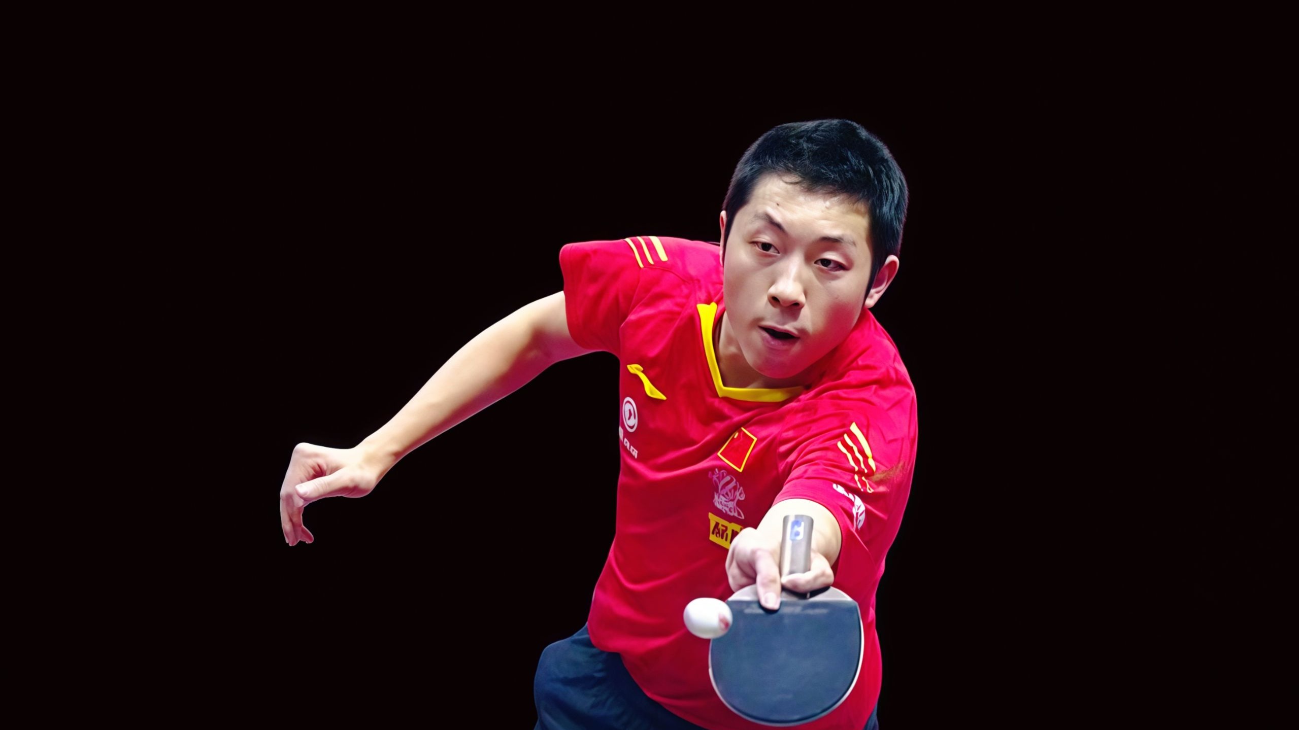 IM体育-波兰乒乓球队力克韩国乒乓球队,许昕高光表现的简单介绍
