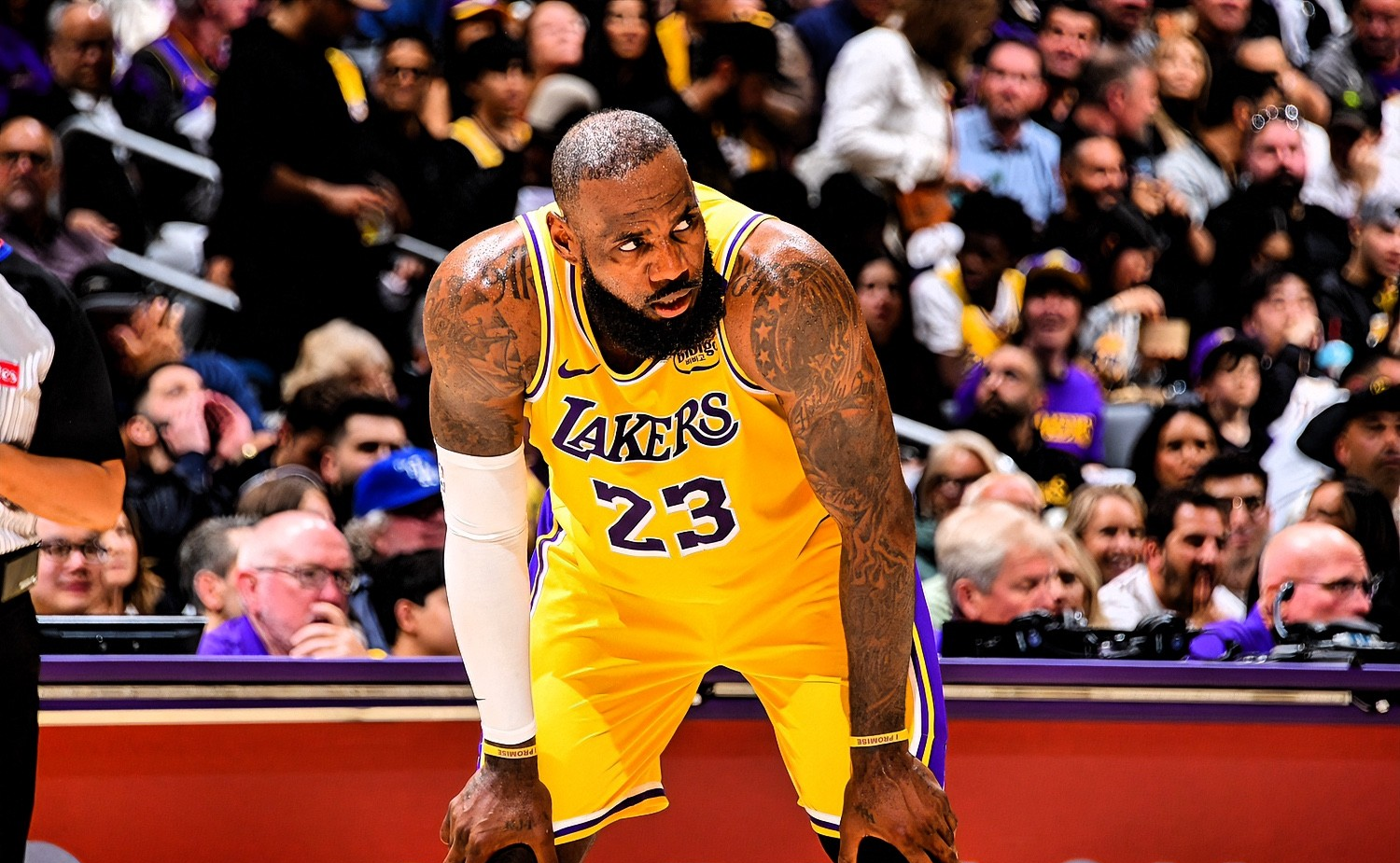 IM体育社区互动入口-勇士迎来复赛勒布朗接受明星之辈挑战的简单介绍