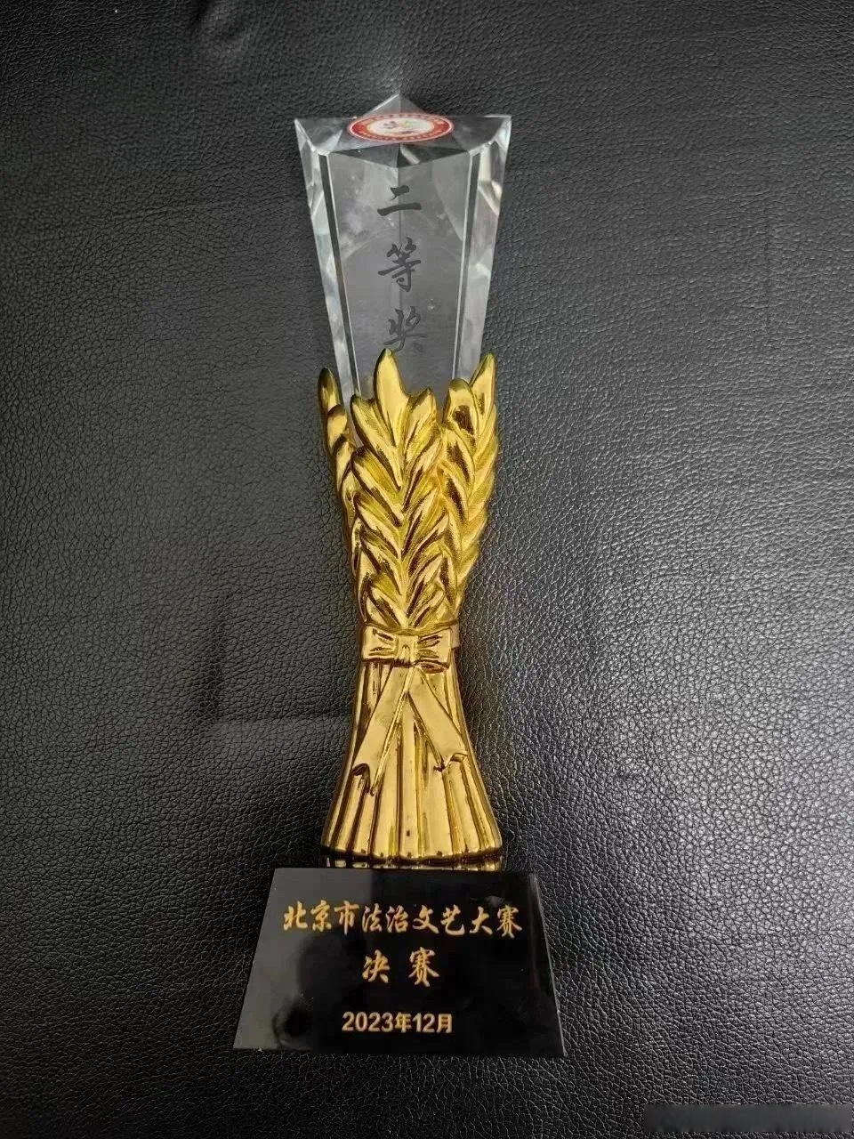 IM体育官方平台-代表国家争光，斩获多重奖牌