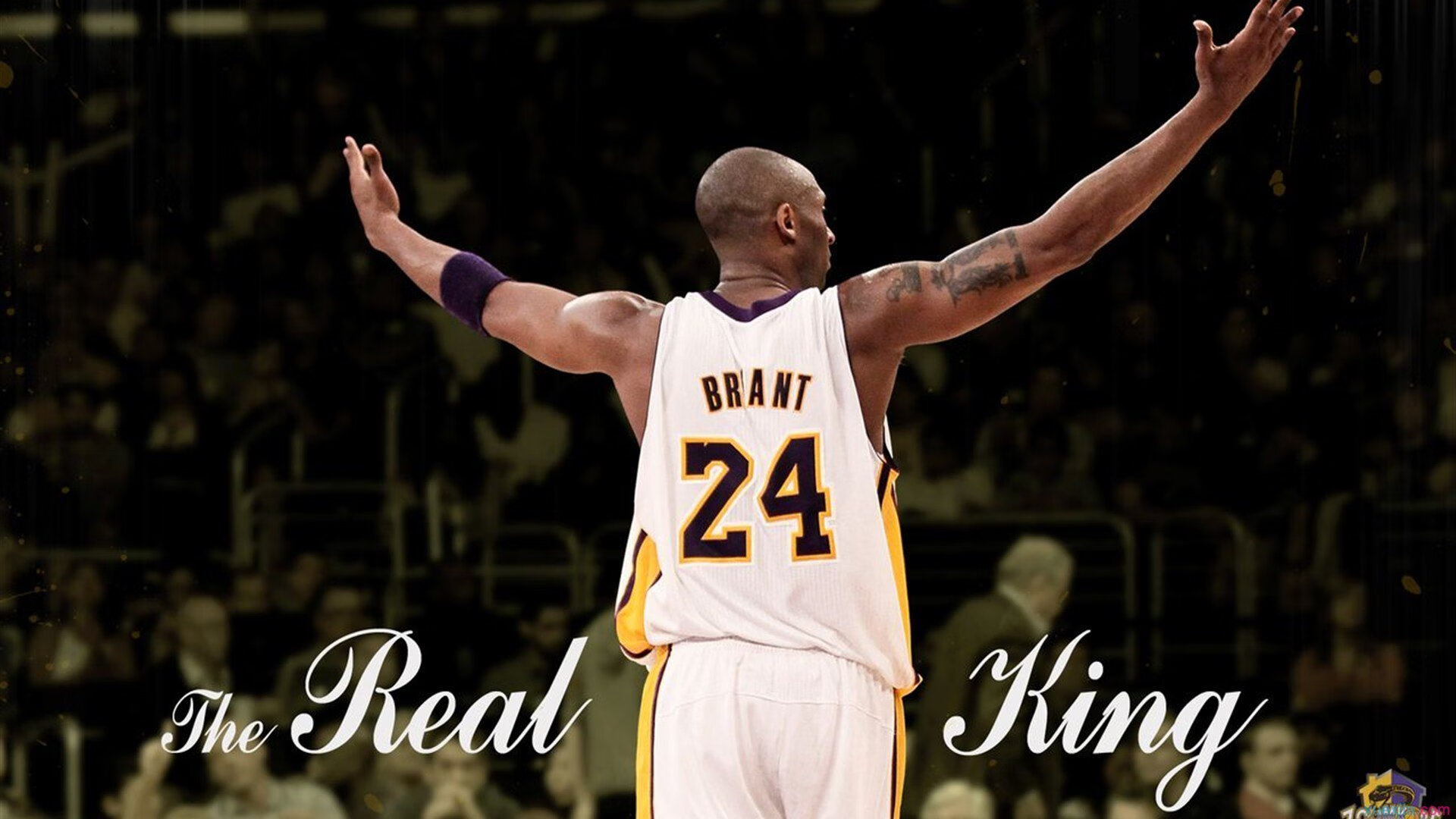 IM体育官方网站-冰与火之歌，灰熊绝杀浙江，塔图姆高光映照篮球哲学